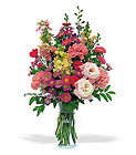  Sunshine and Smiles In Louisville, KY, In Kentucky, Schmitt's Florist