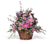 Basket of Spring In Louisville, KY, In Kentucky, Schmitt's Florist