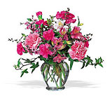Cheerful Carnations In Louisville, KY, In Kentucky, Schmitt's Florist