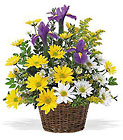 Smiling Spring Basket In Louisville, KY, In Kentucky, Schmitt's Florist