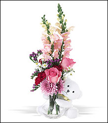 Teleflora's Bear Hug