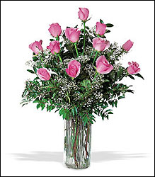 Dozen Baby Pink Roses